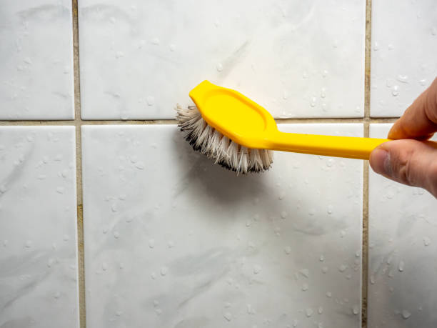 Best Attic Mold Removal  in Westport, NC