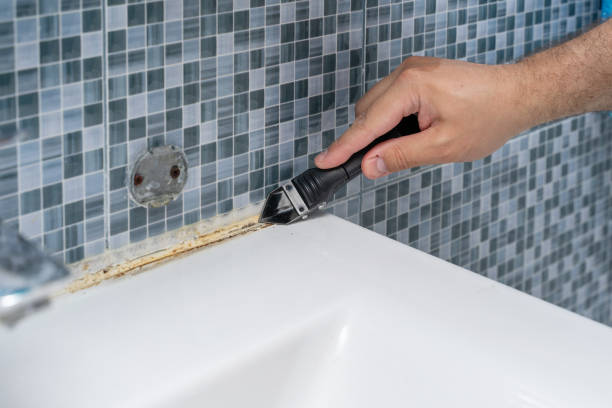 Professional Mold Removal in Westport, NC